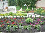 Цветник во дворе школы